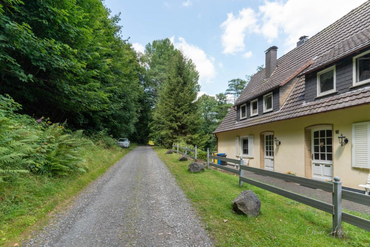 Ferienwohnung Am Waldrand Bad Laasphe Dış mekan fotoğraf